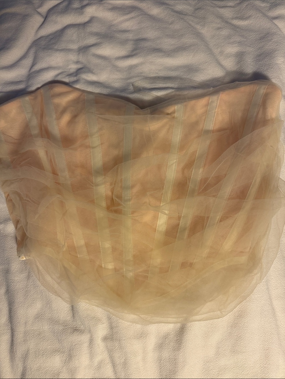 Strapless Sheer Tulle Bustier in Nude